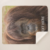 Borneo Orangutan Schöne Fotografie Sherpadecke (Vorderseite (Horizontal))