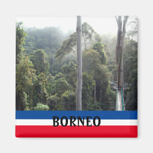 Borneo Rainforest Dschungel Landschaftliches Souve Magnet