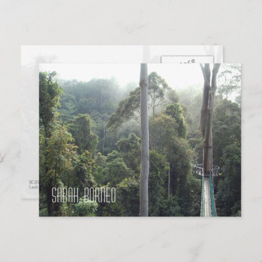 Borneo Rainforest Dschungel Treetops Landschaftlic Postkarte (Vorne/Hinten)