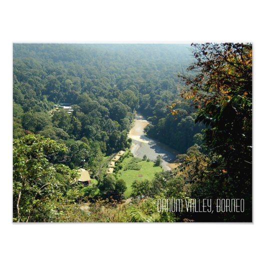 Borneo Rainforest Jungle Danum Valley Fotografie (Vorne)