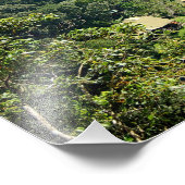 Borneo Rainforest Jungle Danum Valley Fotografie (Ecke)