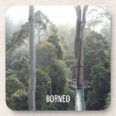 Borneo Rainforest Jungle Tree Canopy Scene Getränkeuntersetzer (Vorderseite)