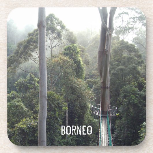 Borneo Rainforest Jungle Tree Canopy Scene Getränkeuntersetzer (Vorderseite)