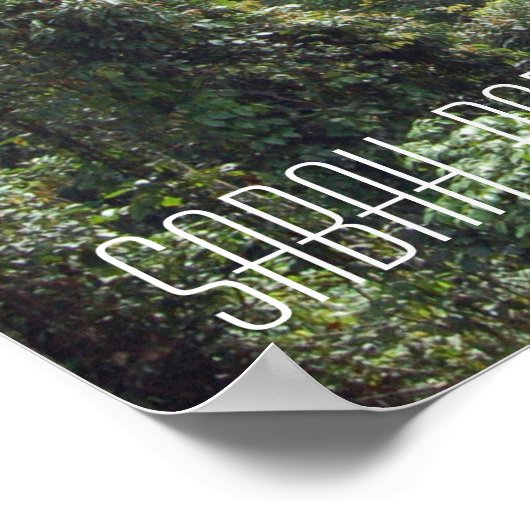 Borneo Rainforest Jungle Treetops Wanderweg Sabah Poster (Ecke)