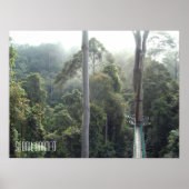 Borneo Rainforest Jungle Treetops Wanderweg Sabah Poster (Vorne)