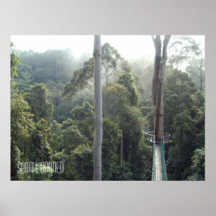 Borneo Rainforest Jungle Treetops Wanderweg Sabah Poster