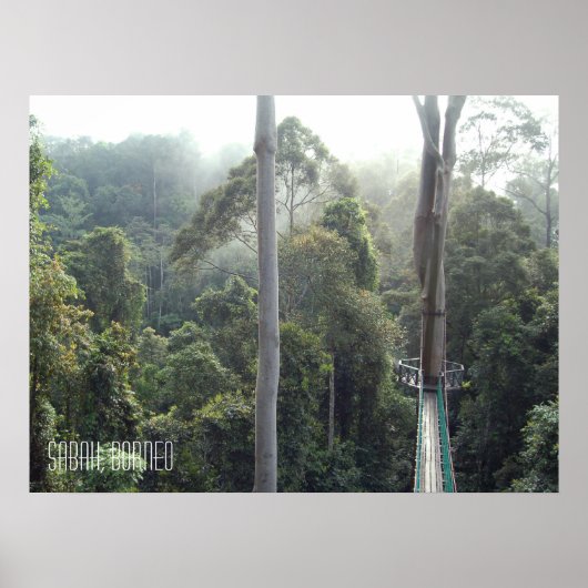 Borneo Rainforest Jungle Treetops Wanderweg Sabah Poster (Vorne)