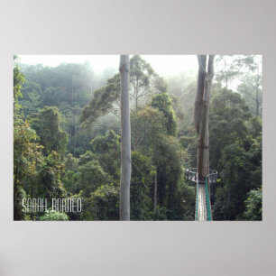 Borneo Rainforest Jungle Treetops Wanderweg Sabah Poster