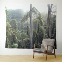 Borneo-Regenwald-Dschungel-Kronendach-Landschaftsh