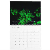 Borneo-Regenwald-Kalender Kalender (Mär 2026)