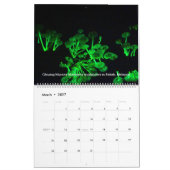 Borneo-Regenwald-Kalender Kalender (Mär 2027)