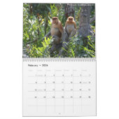 Borneo-Regenwald-Kalender Kalender (Feb 2026)