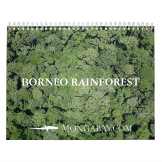 Borneo-Regenwald-Kalender Kalender