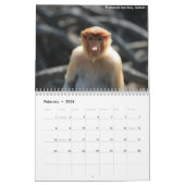 Borneo-Regenwald-Tier-Kalender Kalender (Feb 2026)