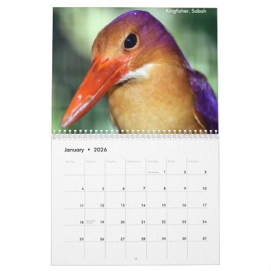 Borneo-Regenwald-Tier-Kalender Kalender (Jan 2026)