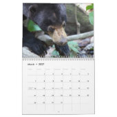 Borneo-Regenwald-Tier-Kalender Kalender (Mär 2027)