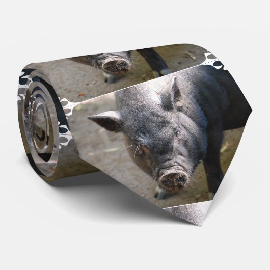 Borneo-Schwein Krawatte (Gerollt)