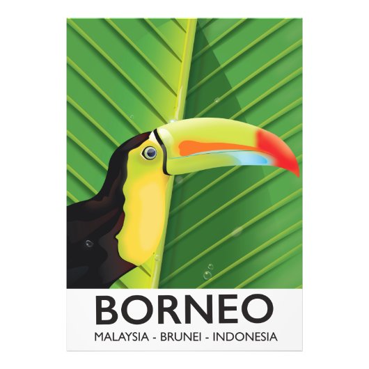Borneo Toucan Reiseplakat Fotodruck (Vorne)