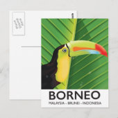 Borneo Toucan Reiseplakat Postkarte (Vorne/Hinten)