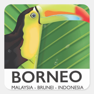Borneo Toucan Reiseplakat Quadratischer Aufkleber