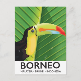 Borneo-Tukan-Reiseposter Postkarte