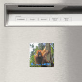 Borneo Wildlife Magnet (In Situ (Geschirrspüler))