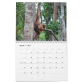 Borneoreise und -orang-Utans Kalender (Mär 2027)