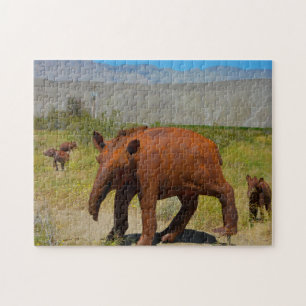 Borrego springt Kalifornien. Puzzle