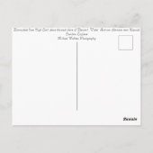 Borrowdale Keswick Lake District England Postkarte (Rückseite)