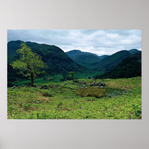 Borrowdale von High Doat, Cumbria an der Cornish Poster
