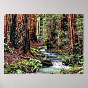 Borste der Tiefen-92 Poster