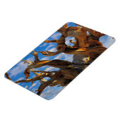 Borstenkiefer Magnet (Linke Seite)