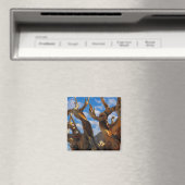 Borstenkiefer Magnet (In Situ (Geschirrspüler))