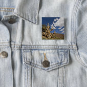 Borstige Kiefer im Ancient Bristlecone Forest, Button (Beispiel)