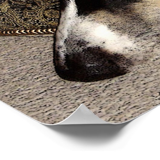 BORZOI ART DRUCINT POSTER (Ecke)