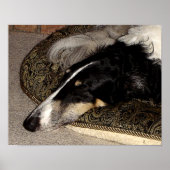 BORZOI ART DRUCINT POSTER (Vorne)