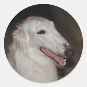Borzoi-Aufkleber Runder Aufkleber