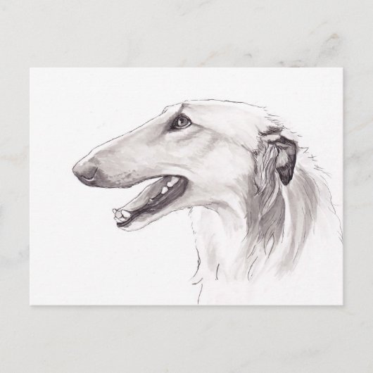 Borzoi Dog Art Ink Kopf Profil Postkarte (Vorderseite)