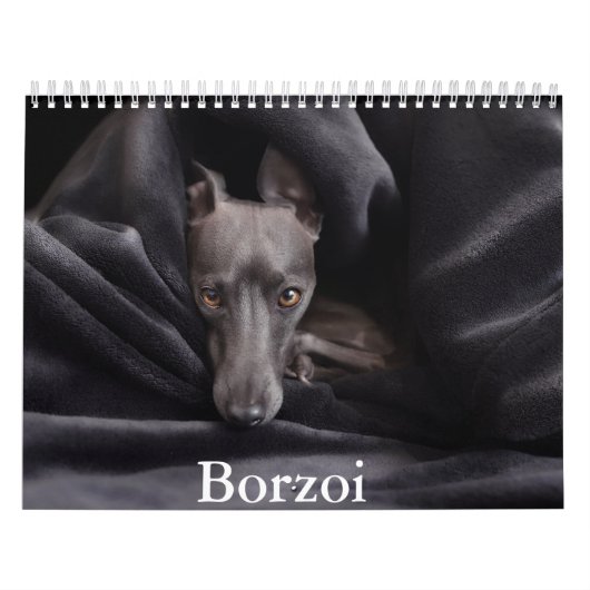 Borzoi Dog Calendar Kalender (Titelbild)