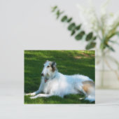 "Borzoi" Dog Fotografie Postkarte (Stehend Vorderseite)