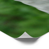 Borzoi Figurine Poster (Ecke)