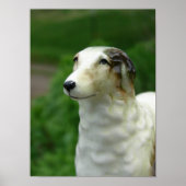 Borzoi Figurine Poster (Vorne)