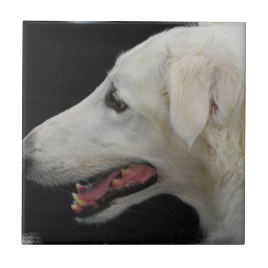 Borzoi-Fliese Fliese (Vorderseite)