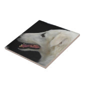 Borzoi-Fliese Fliese (Seite)
