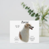 Borzoi-Geschichtsdesign Postkarte (Stehend Vorderseite)