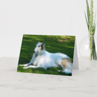 "Borzoi-" HundeFoto-Gruß-Karte Karte