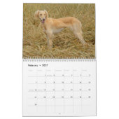 Borzoi-Kalender 2026 Kalender (Feb 2027)
