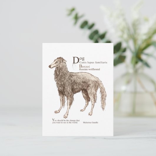 Borzoi - Nüsse Postkarte (Stehend Vorderseite)
