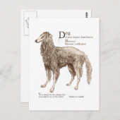 Borzoi - Nüsse Postkarte (Vorne/Hinten)