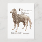 Borzoi - Nüsse Postkarte (Vorderseite)